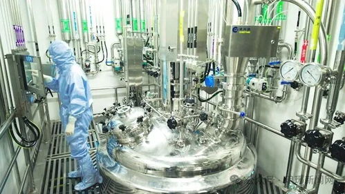 臨沂在線網站技術服務 構建高效穩定的網絡平臺